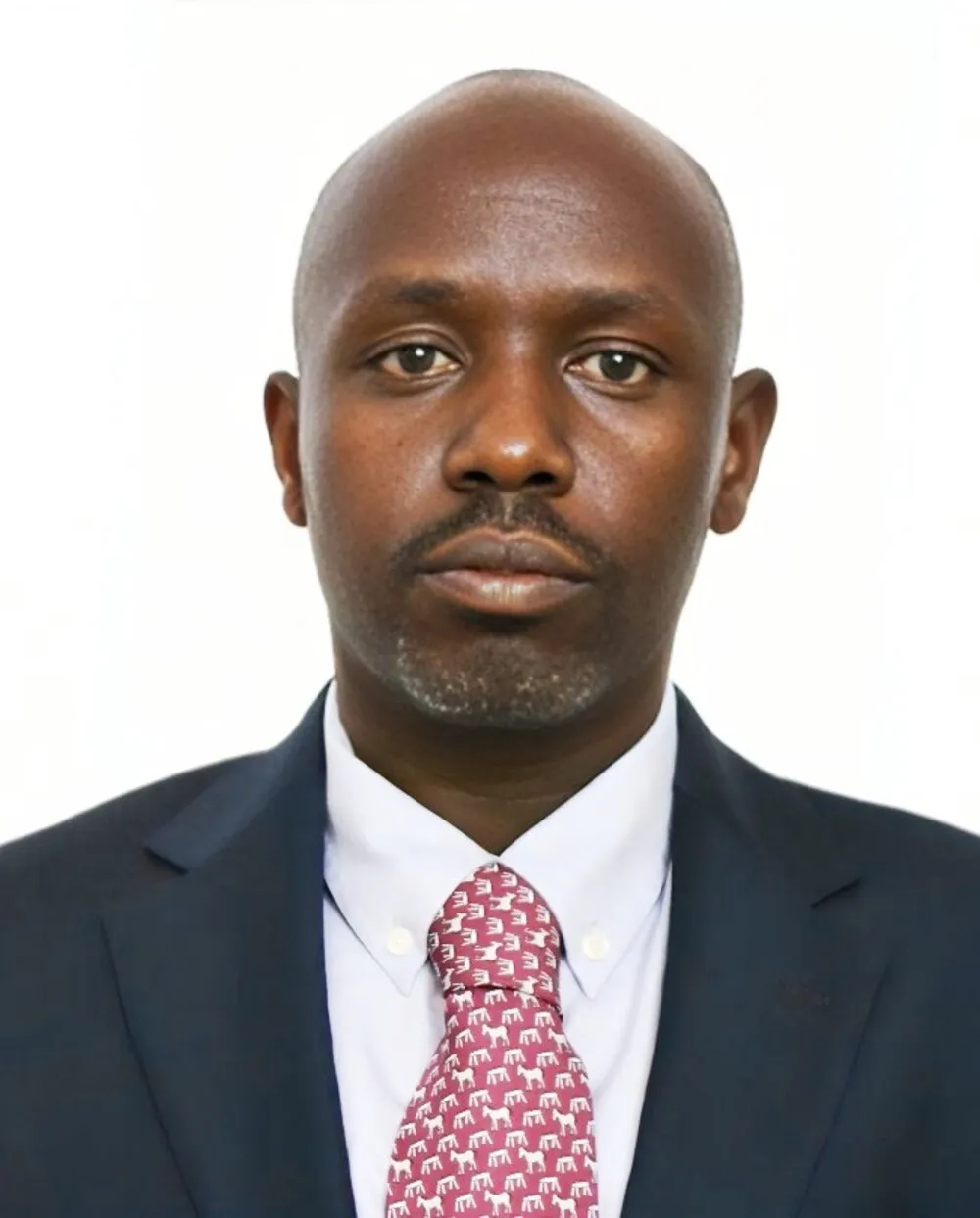 Portrait of Amb. Kipkosgei Toroitich