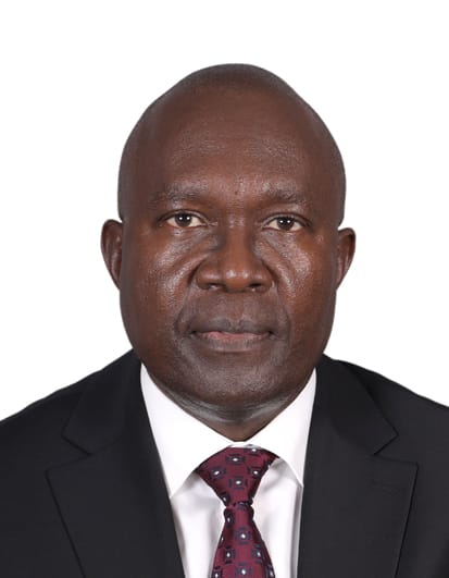 Portrait of H.E. Amb. Henry Wambuma