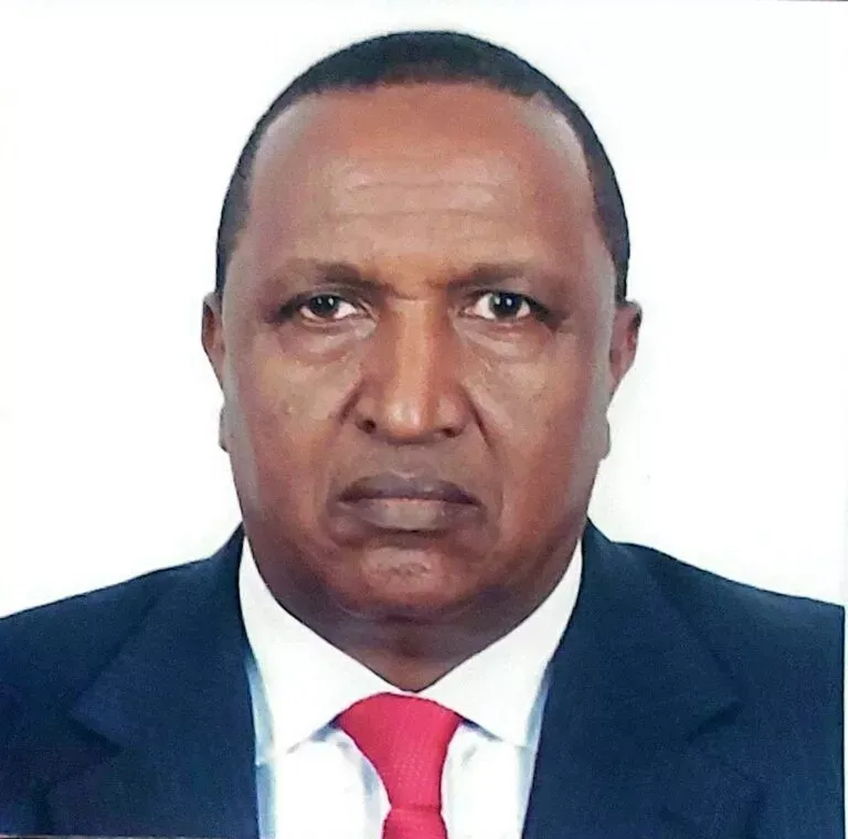 Portrait of H.E. Amb. Galma M. Boru, EBS